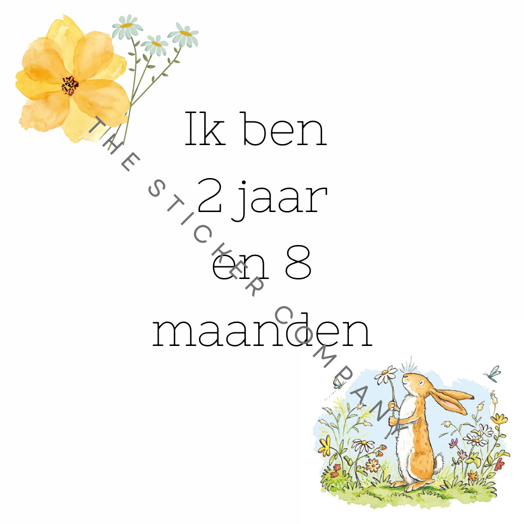 Baby Milestone Kaarten - Raad eens hoeveel ik van je hou