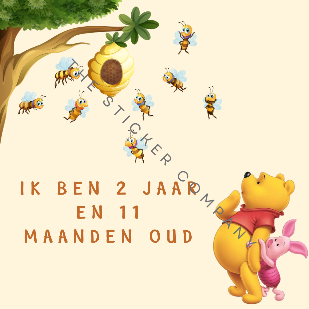 Baby Milestone Kaarten - Winnie de Poeh