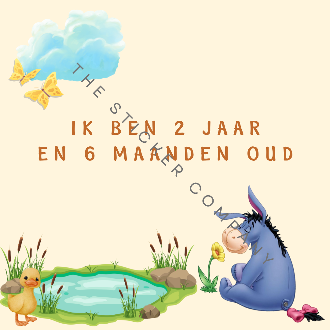 Baby Milestone Kaarten - Winnie de Poeh